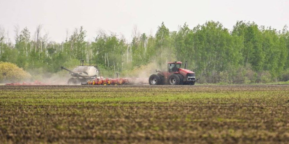 
                    В Казахстане стартовало финансирование льготного кредитования посевной кампании
                