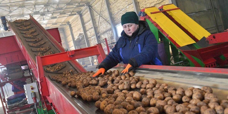 
                    В Правительстве Казахстана подвели итоги в сфере АПК и продовольственной безопасности
                