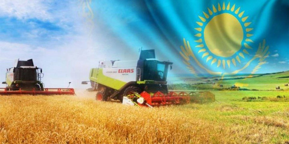 
                    Государству возвращено 8 млн гектаров земель: реализация предвыборной программы Президента РК
                
