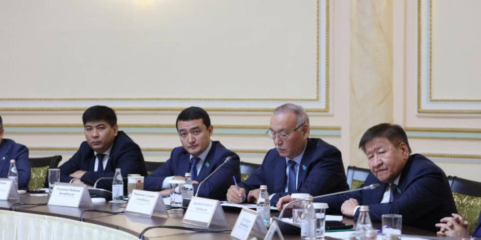 
                    Cенаторы обсудили в Алматы ход реализации поручений Президента
                