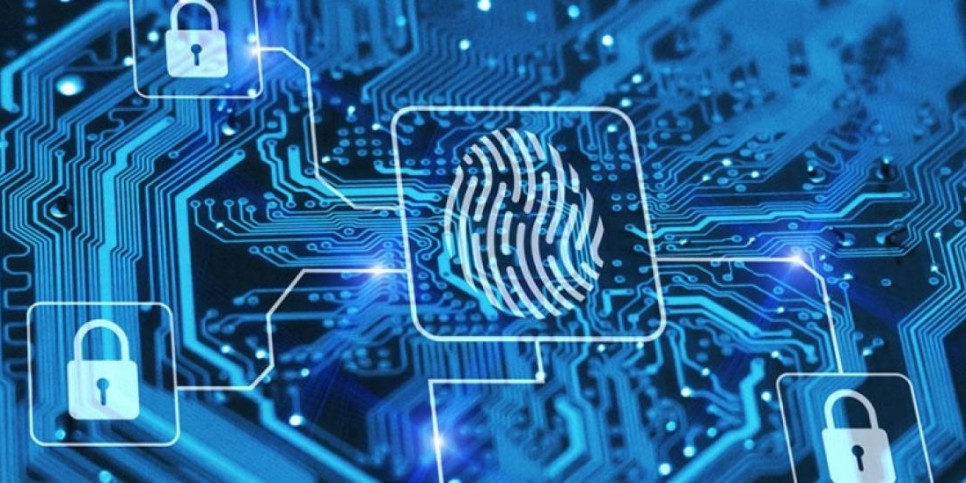 
                    Президента проинформировали о мерах по обеспечению информационной безопасности
                