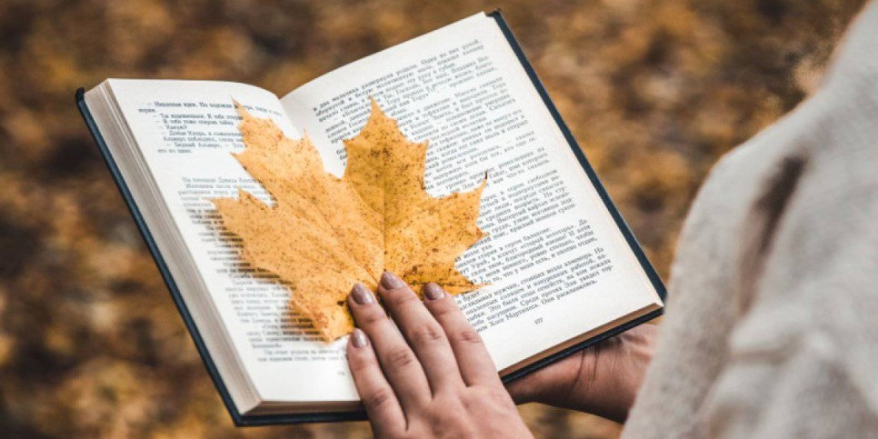 
                    Как в Алматы пройдет книжный фестиваль Kitap Fest Almaty 2023
                