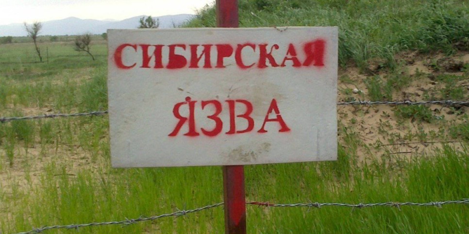 
                    Вспышку сибирской язвы обнаружили на севере Казахстана
                