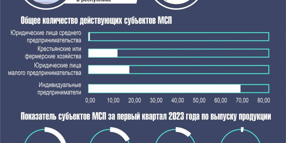 
                    Сколько казахстанцев вовлечено в МСБ
                