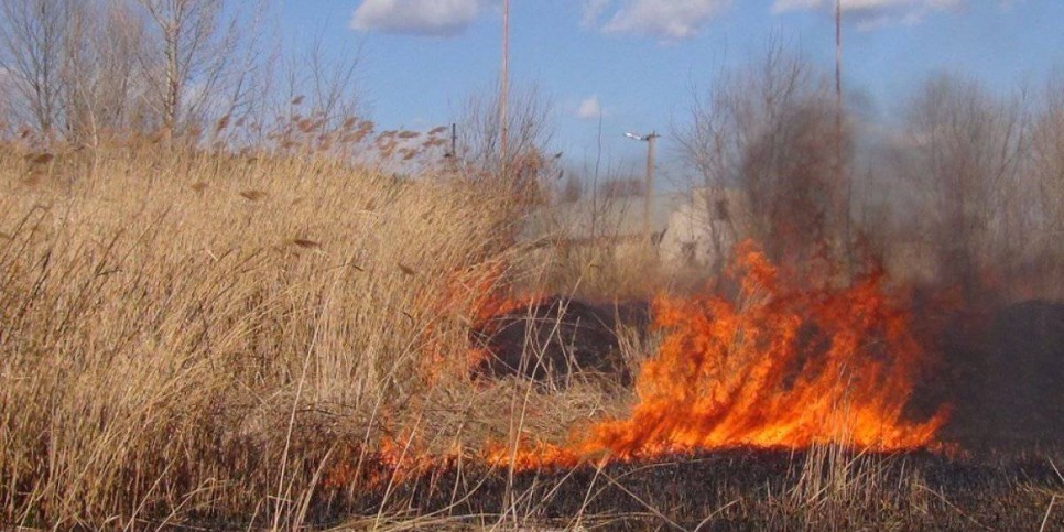 
                    Загорание сухостоя ликвидировано в Туркестанской области
                