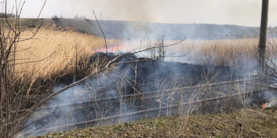 
                    Загорание камыша в Алматинской области ликвидировано
                