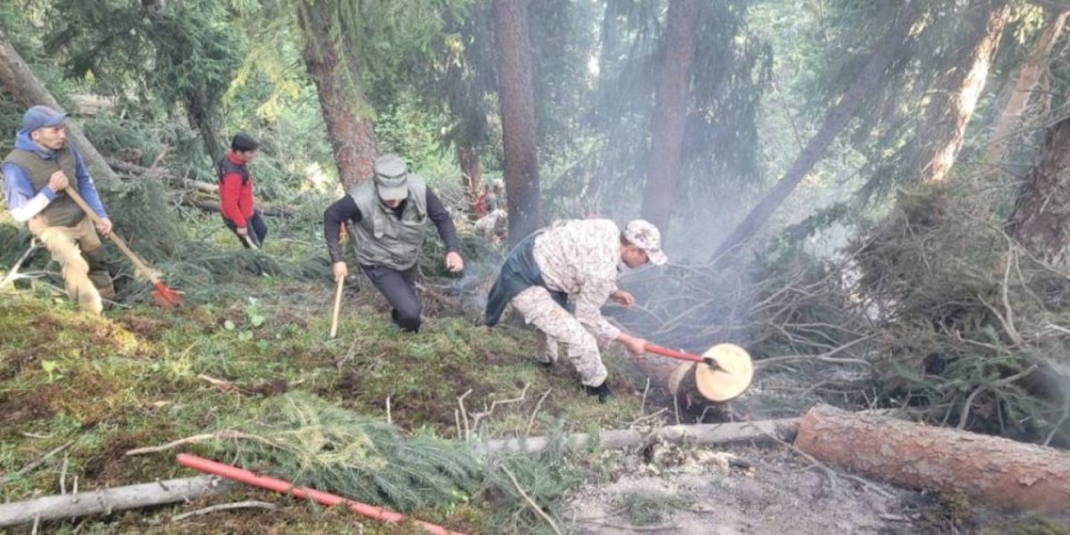 
                    Пожарные не дали распространиться огню в Колсай колдеры
                