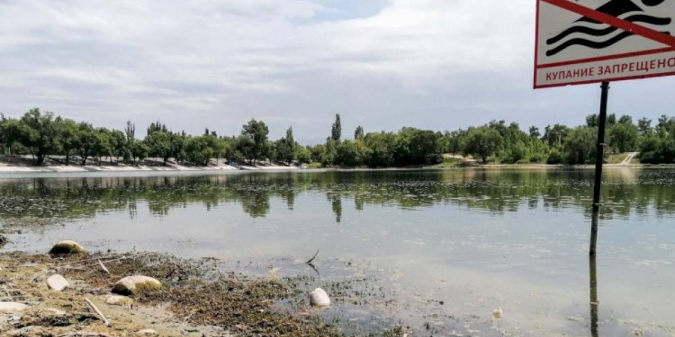 
                    Купаться запрещено: Аэропортовское озеро
                