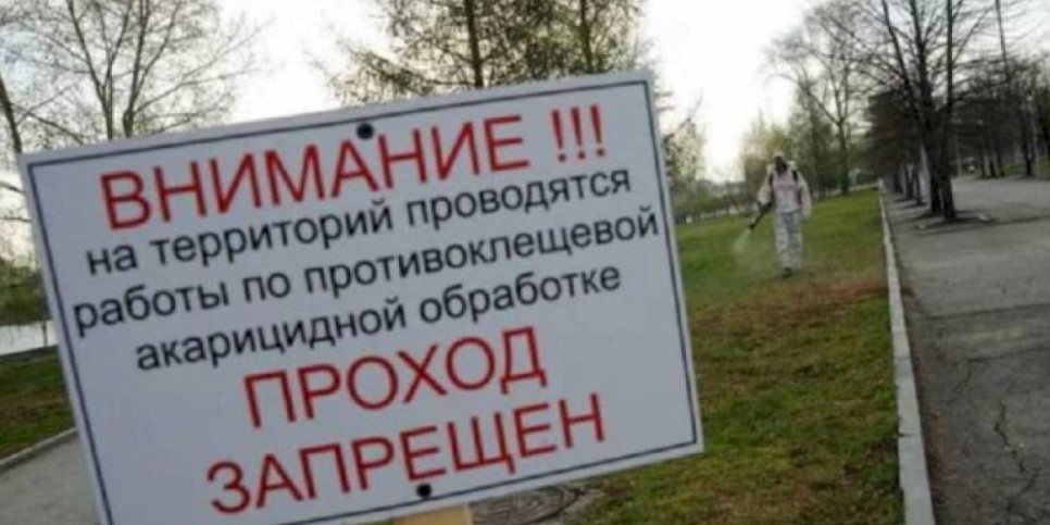 
                    В Алматы с 15 мая начинается второй этап противоклещевой обработки территорий
                