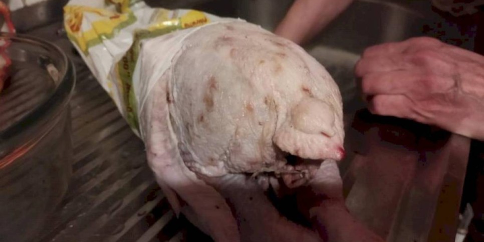 
                    Жители Актау жалуются на качество мяса и внешний вид кур местной птицефабрики
                