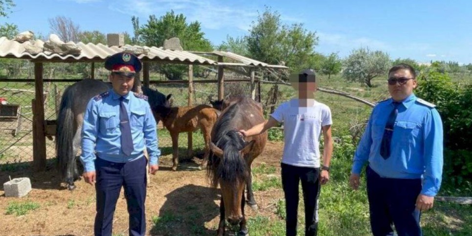 
                    Осужденный выиграл грант более миллиона тенге в Алматинской области
                
