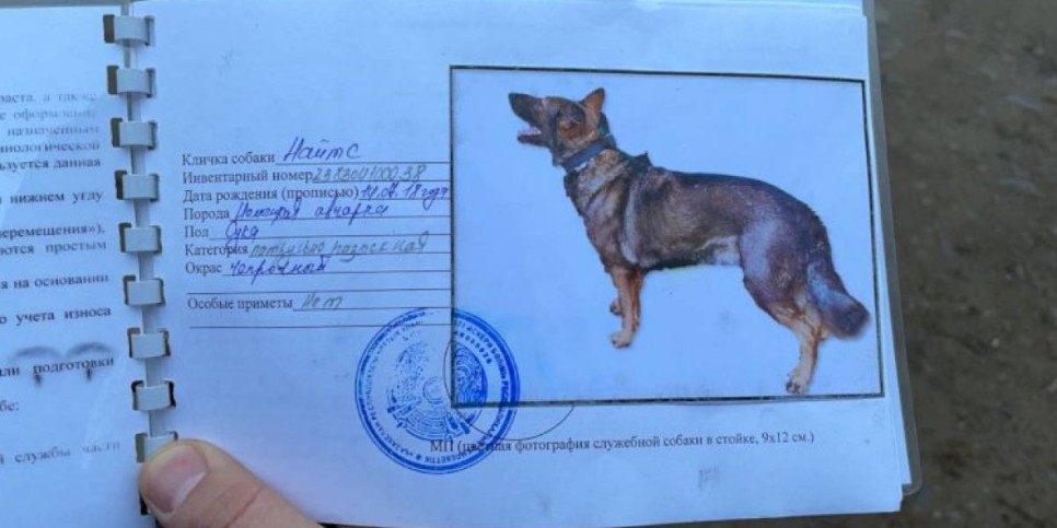 
                    Полицейские вызволили из плена служебную собаку, похищенную во время беспорядков
                