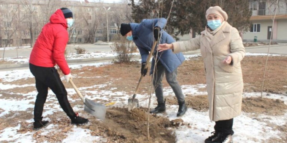 
                    В Турксибском районе отремонтировали сквер Сейфуллина, установили МАФы для детей и высадили деревья
                