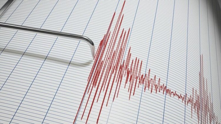 Землетрясение произошло в 400 километрах от Алматы