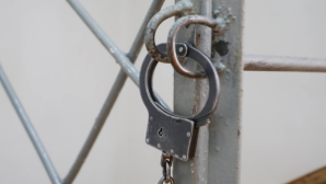 Фальшивые талоны, ремонт и призрачный магазин: полицейские разоблачили столичных аферистов