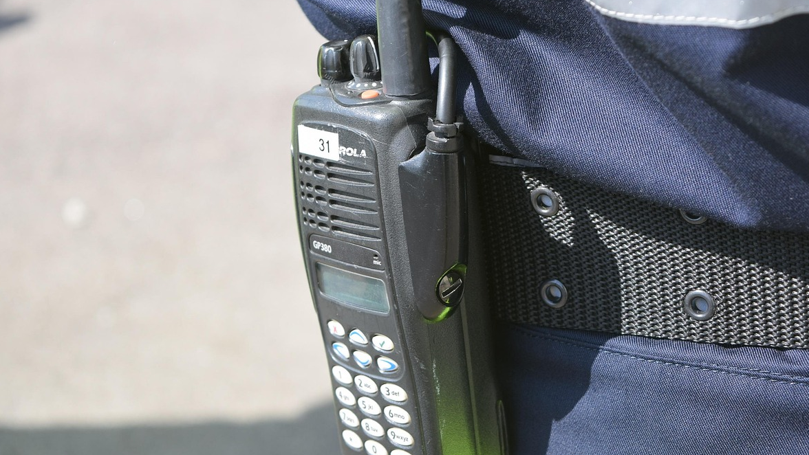 В Актюбинской области задержаны браконьеры с 14 тушами сайги
