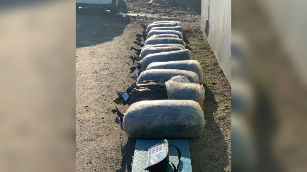В Павлодарской области изъяли крупную партию наркотиков