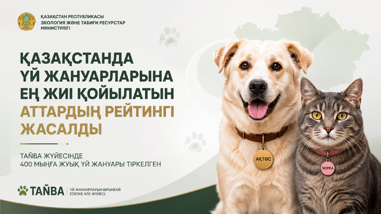 Ақтөс, Мурка и капибара Борис: составлен первый официальный рейтинг кличек казахстанских питомцев