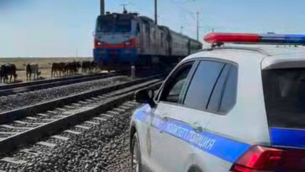 Более 1300 владельцев скота привлекли к ответственности за выпас у железных дорог