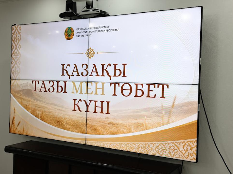 Представителей сферы кинологии наградили в честь дня казахской тазы и тобета