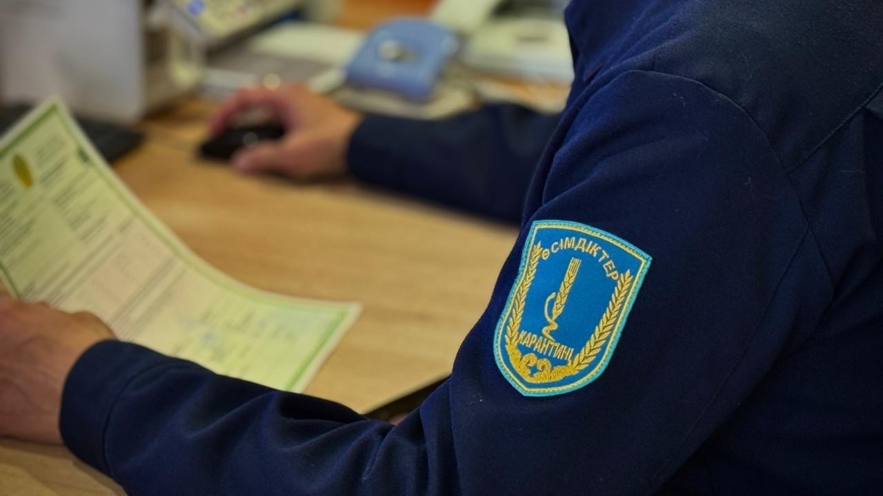 Более 1,3 тысячи фитосанитарных нарушений выявили на границах РК